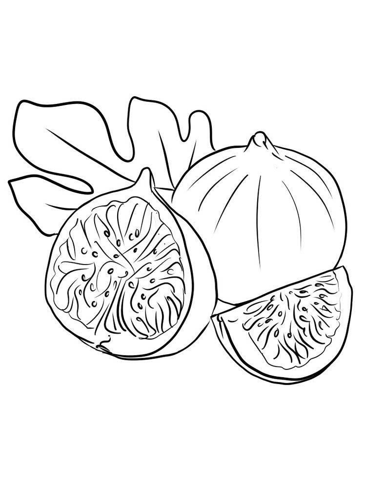 Kolorowanka dwie połówki figi